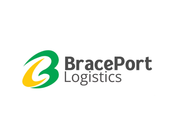 Brace Port logistics Ipo gmp risk 